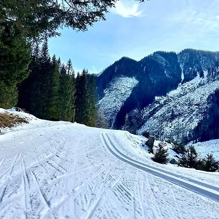 Alpine Pearl * Mallnitz