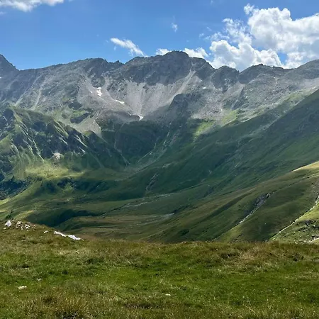 Appartement Alpine Pearl *